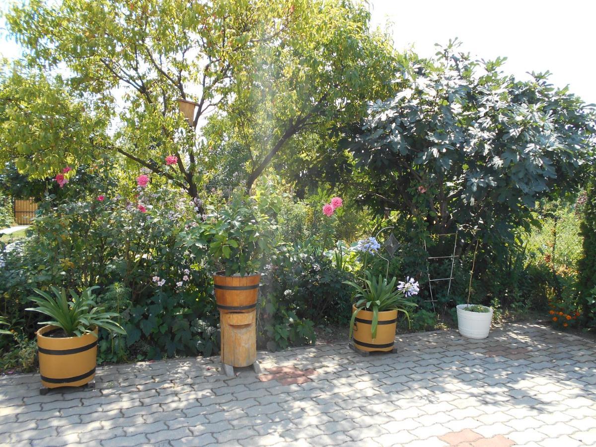 Arpad Panzio Bed & Breakfast Gyor Luaran gambar